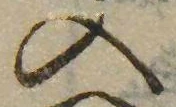 位置 確認된 入