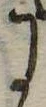 Đã định vị 𛂌