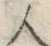 字人