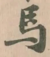 馬 위치 확인됨