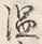 글자 温