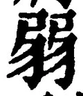 글자 弱