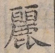 已定位麗