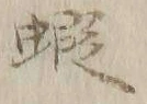 글자 蝦