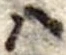 𛂞の位置