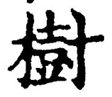“樹”字