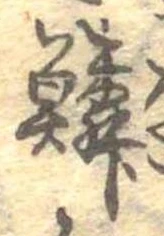 鱗の位置