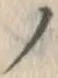 字ノ