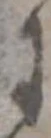位置 確認된 𛂌