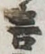 言 위치 확인됨