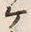 “ケ”字