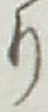 글자 り
