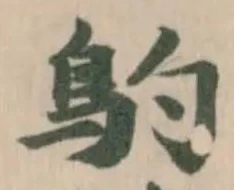 𩾡 위치 확인됨