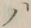𡨸ノ