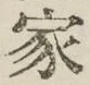 글자 家