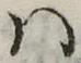 Đã định vị 𛂞