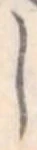 𛁅 위치 확인됨