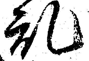 位置 確認된 乱