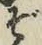 글자 ぞ
