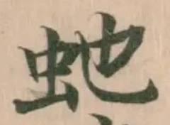 虵 위치 확인됨