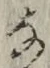 Character な