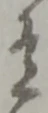 有 위치 확인됨