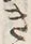 文字き