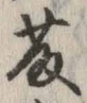 藤の位置