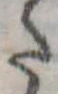 𛁠 위치 확인됨