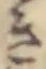 き 위치 확인됨