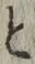 “と”字