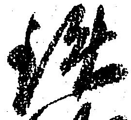 Đã định vị 鉄