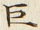 文字巨