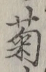 글자 菊