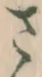 글자 さ