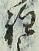 글자 程