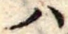 𛂞の位置