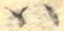 𛂞の位置