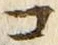 「コ」字