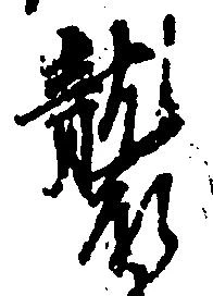 襲の位置