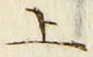 文字 上