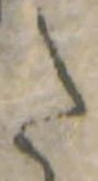 Đã định vị 𛁠