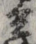 已定位兵