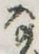 Đã định vị 𛂂