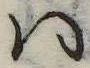 Đã định vị 𛂞