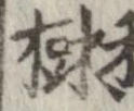 樹，已得其位