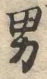 位置 確認된 男