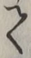 “て”字