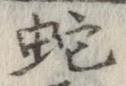 蛇 위치 확인됨
