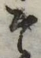 已定位そ